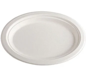 Sugarcane 10 inch plates