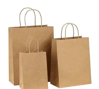 120gsm Twisted Handle Paper Bags – 13x7x13 (GBC Brand)