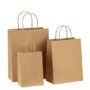 120gsm Twisted Handle Paper Bags - 13x7x13 (GBC Brand)