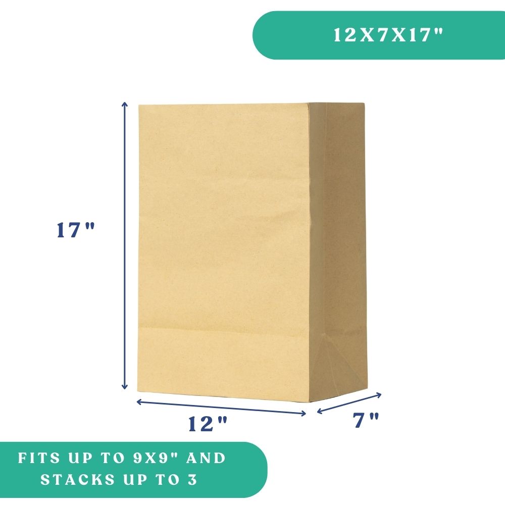12x7x17 No Handle Paper Bag DD60