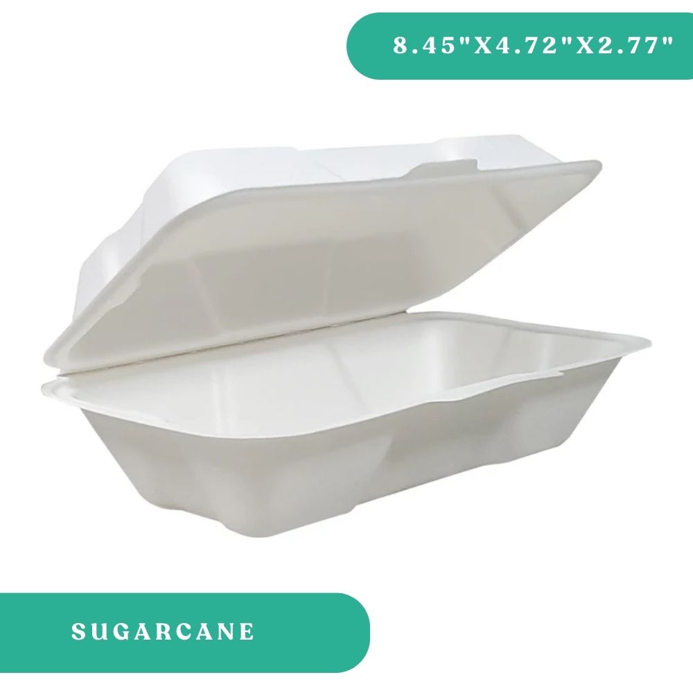 8×4×3 Sugarcane Clamshell