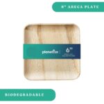 Areca Square 6" Plates