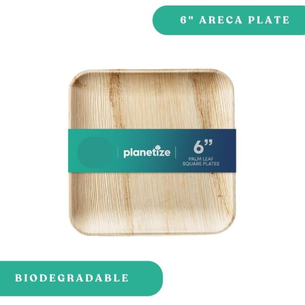 Areca Square 6" Plates