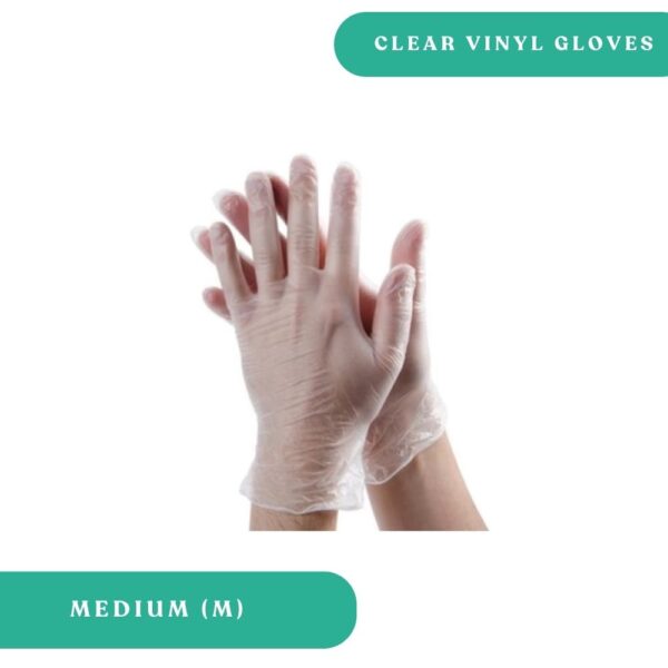 Vinyl Gloves - Medium