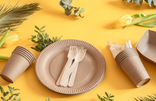 Disposable_plates_72080f639a